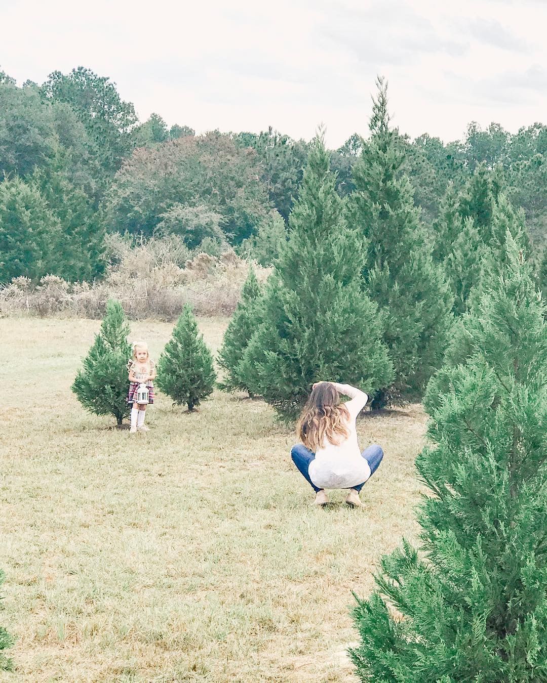 Strickland's Christmas Tree Farm